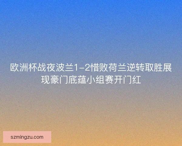 欧洲杯战夜波兰1-2惜败荷兰逆转取胜展现豪门底蕴小组赛开门红