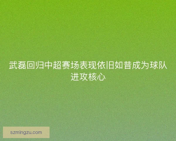 武磊回归中超赛场表现依旧如昔成为球队进攻核心